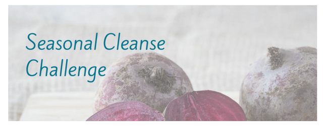 Seasonal Cleanse Challenge Adrenal Fatigue Leaky gut Thyroid Jenn Malecha